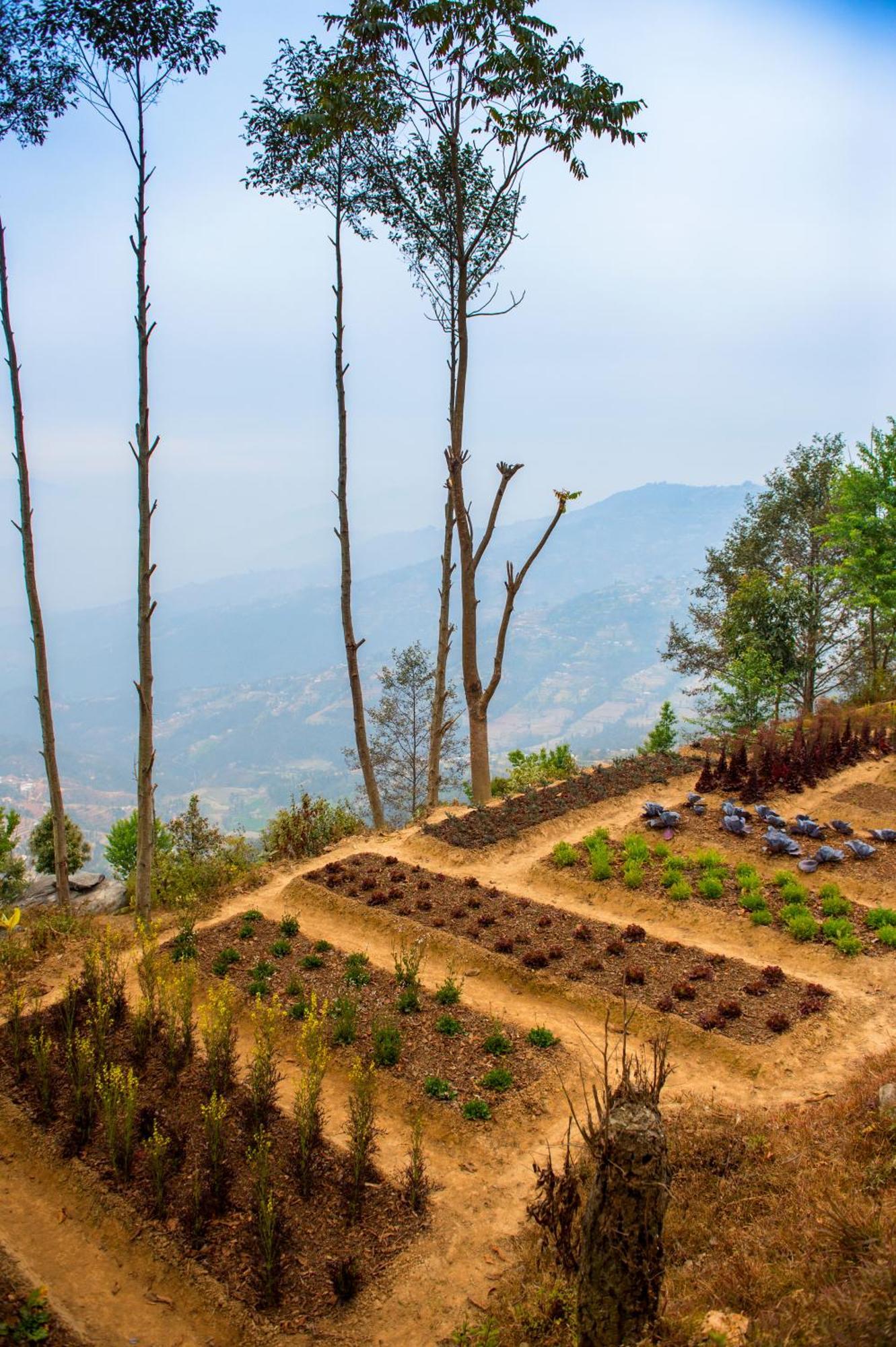 Dwarika'S Resort - Dhulikhel Wellbeing Escape In The Himalayas Exteriör bild