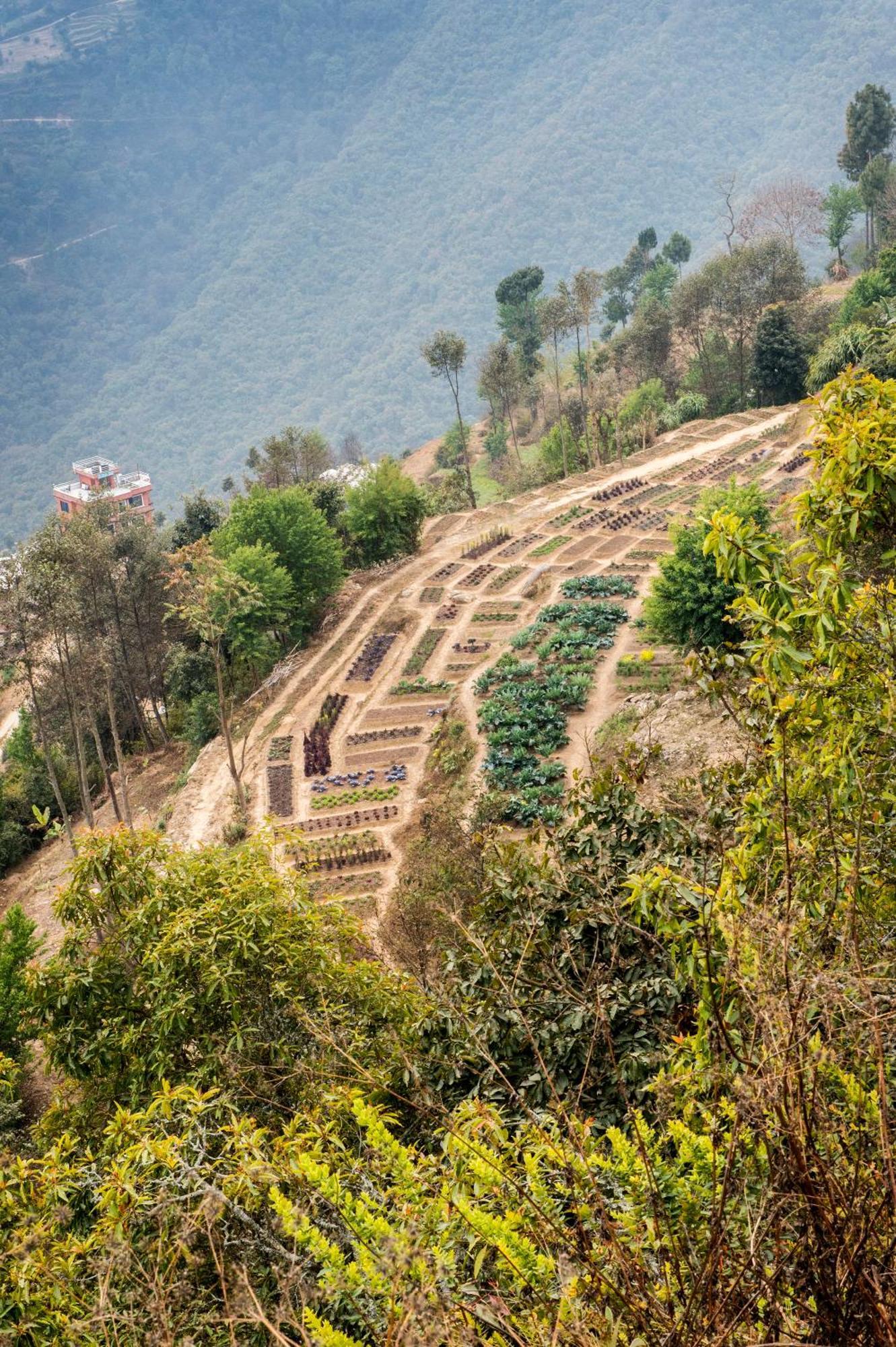 Dwarika'S Resort - Dhulikhel Wellbeing Escape In The Himalayas Exteriör bild